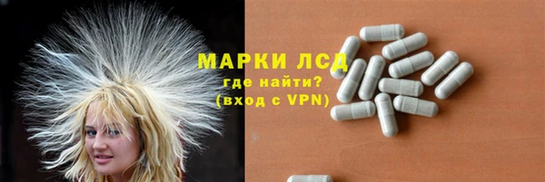 ешки Богданович