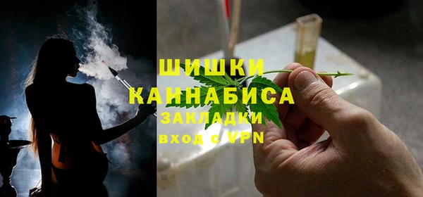 ешки Богданович