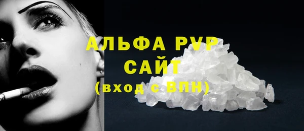 ешки Богданович